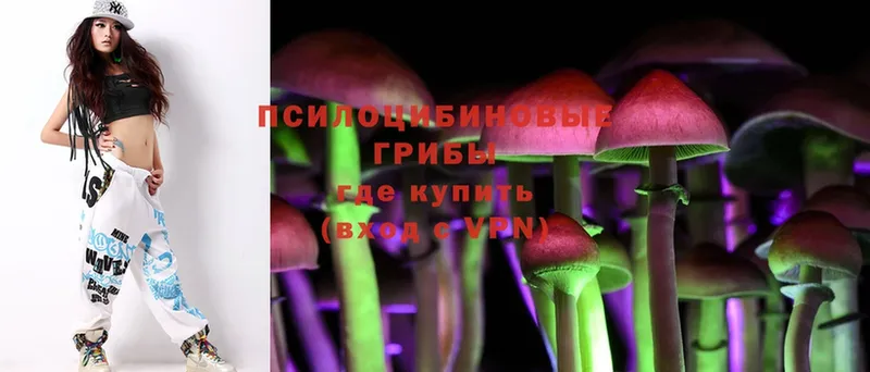 где купить наркотик  Надым  Галлюциногенные грибы Psilocybe 