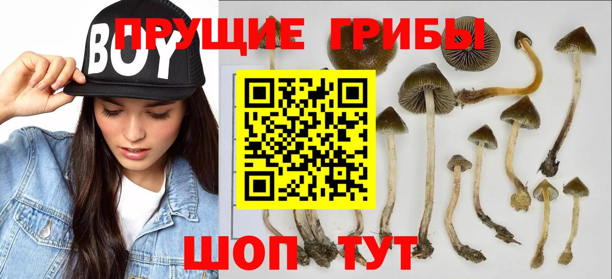 закладка  Галлюциногенные грибы мицелий  Вход с VPN  Надым 